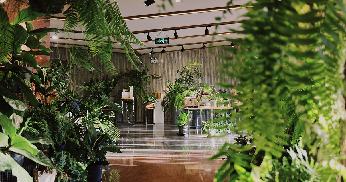 耀彩网奥莱·滇池幼镇