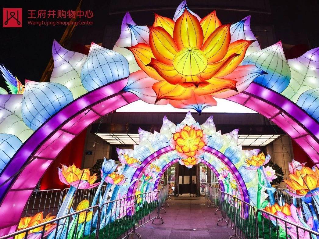 17356110171960573221046_785