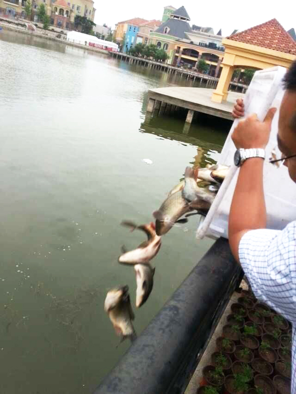 首页| 耀彩网官方网站入口