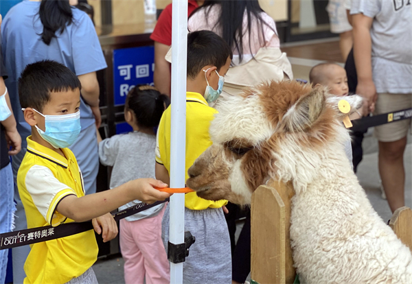 首页| 耀彩网官方网站入口