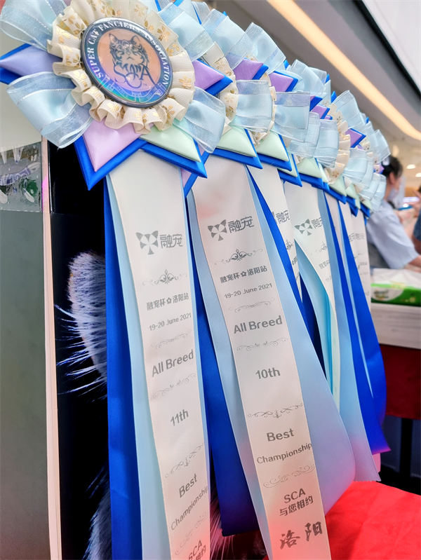 首页| 耀彩网官方网站入口