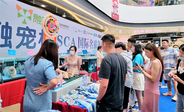 首页| 耀彩网官方网站入口