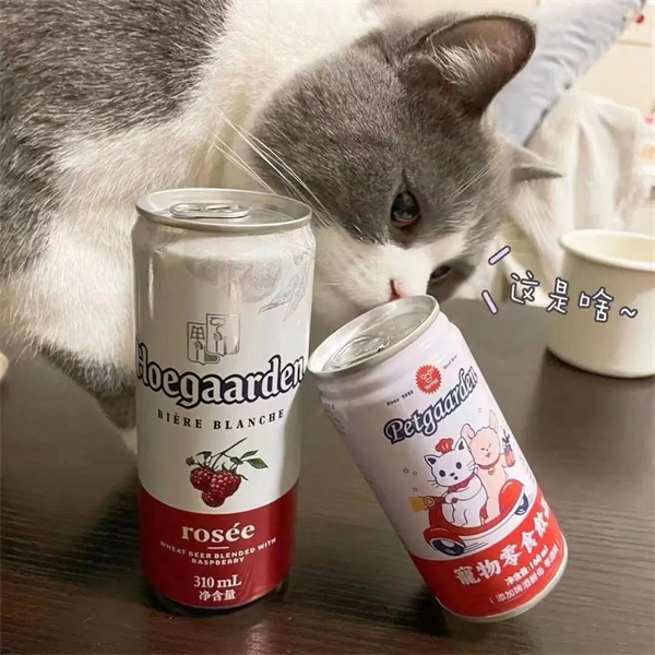 首页| 耀彩网官方网站入口