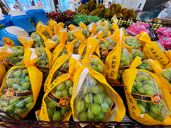 首页| 耀彩网官方网站入口