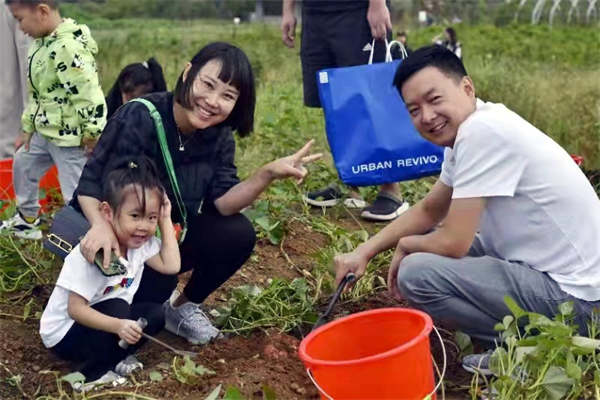 首页| 耀彩网官方网站入口