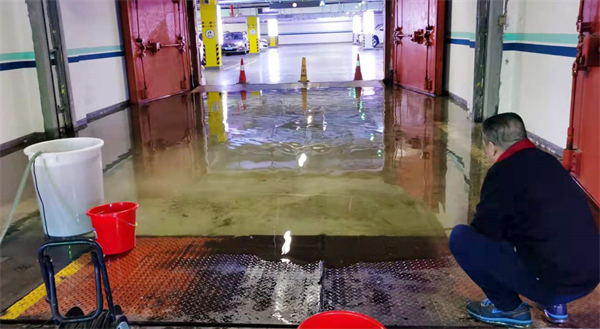 首页| 耀彩网官方网站入口