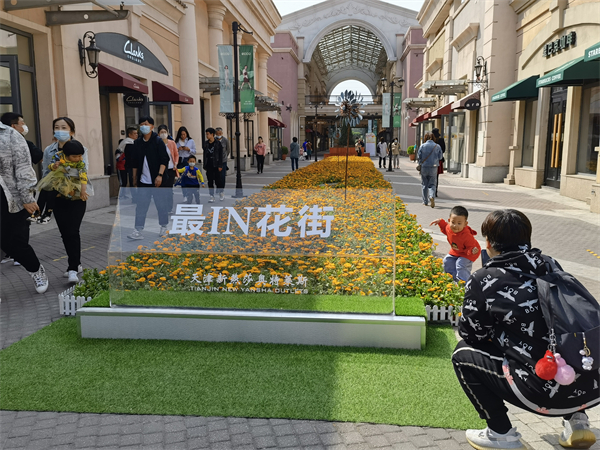 首页| 耀彩网官方网站入口