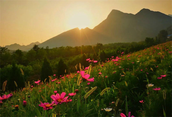 首页| 耀彩网官方网站入口