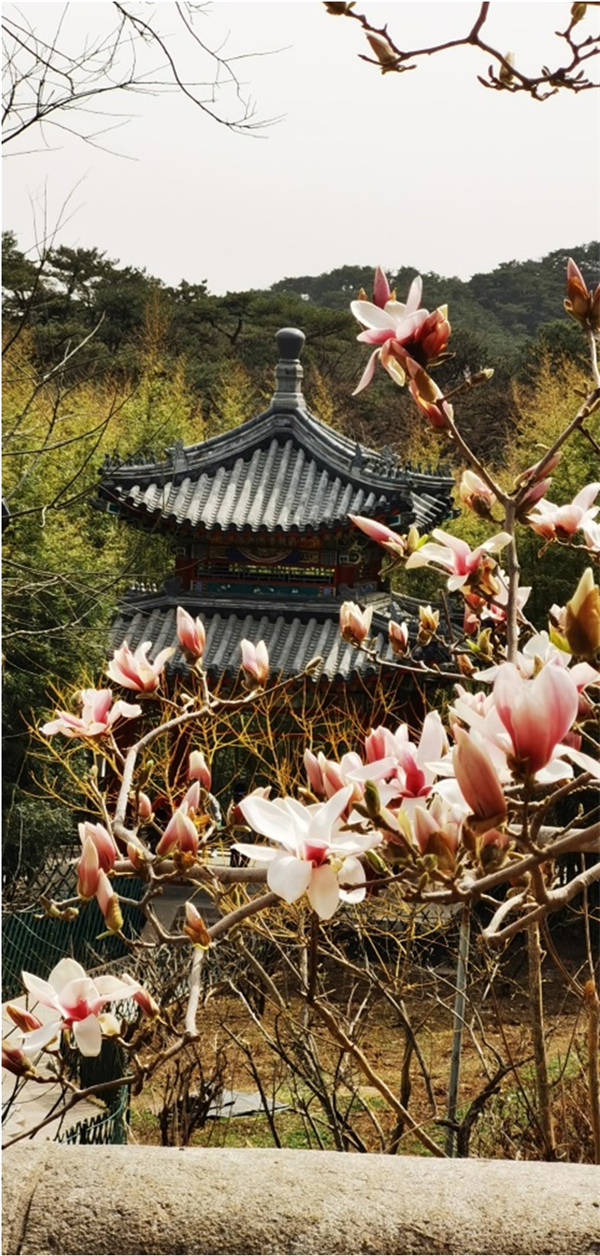 首页| 耀彩网官方网站入口