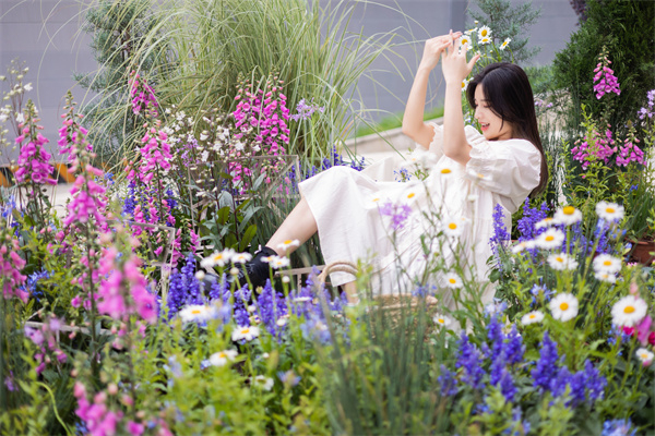 首页| 耀彩网官方网站入口