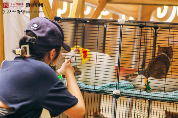 首页| 耀彩网官方网站入口