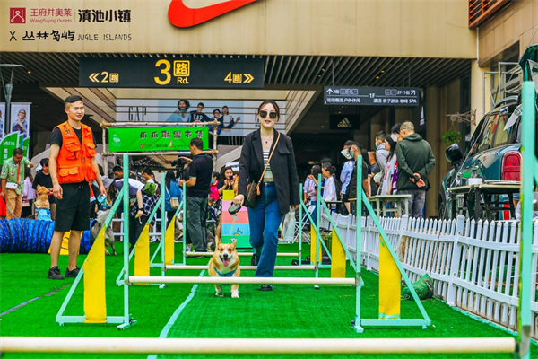 首页| 耀彩网官方网站入口