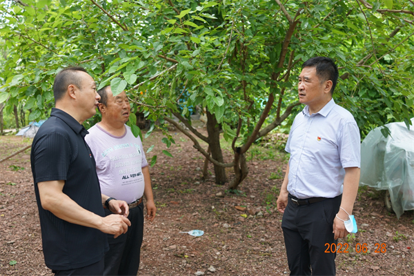 首页| 耀彩网官方网站入口