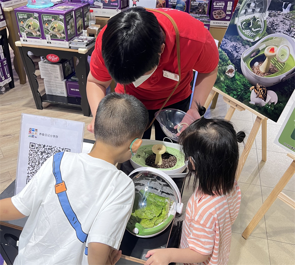 首页| 耀彩网官方网站入口