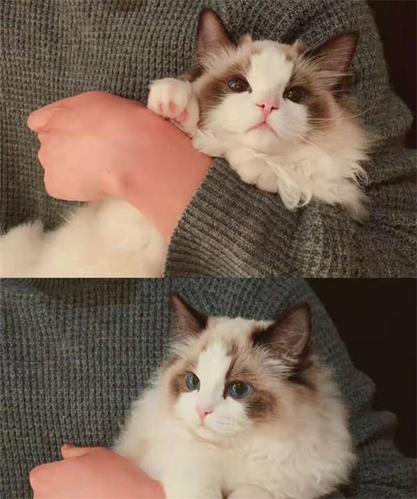 首页| 耀彩网官方网站入口