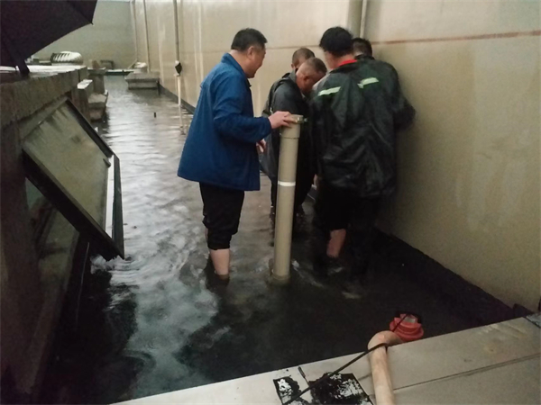 首页| 耀彩网官方网站入口