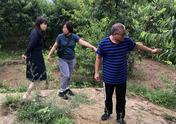 首页| 耀彩网官方网站入口